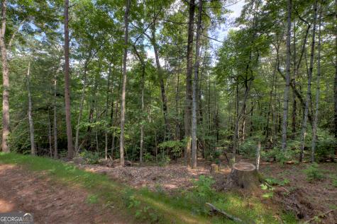 0 Sugar Creek Road Blue Ridge GA 30513