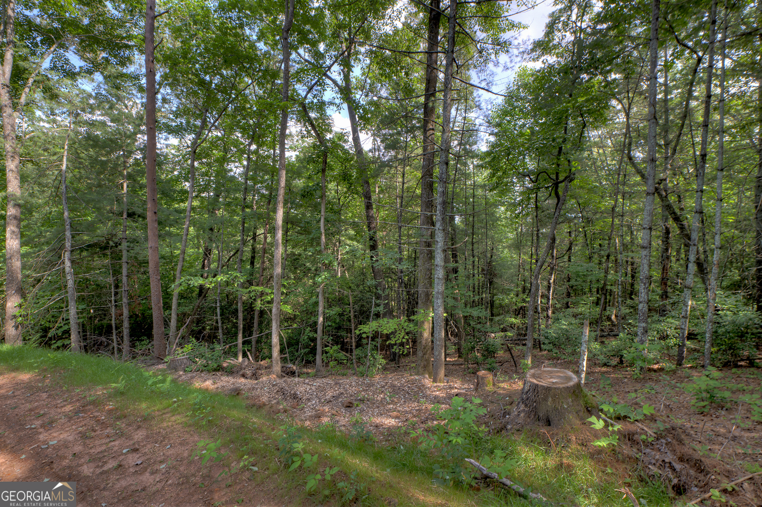 0 Sugar Creek Road Blue Ridge GA 30513