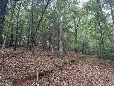 0 Yahoola Indian Trail Dahlonega GA 30533