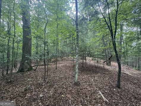 0 Yahoola Indian Trail Dahlonega GA 30533