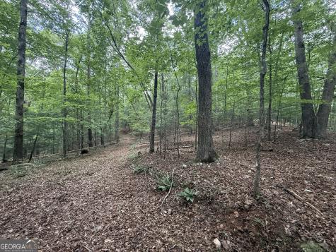 0 Yahoola Indian Trail Dahlonega GA 30533