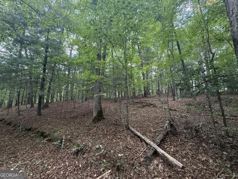 0 Yahoola Indian Trail Dahlonega GA 30533