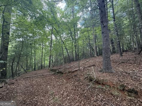 0 Yahoola Indian Trail Dahlonega GA 30533