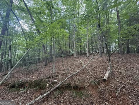 0 Yahoola Indian Trail Dahlonega GA 30533