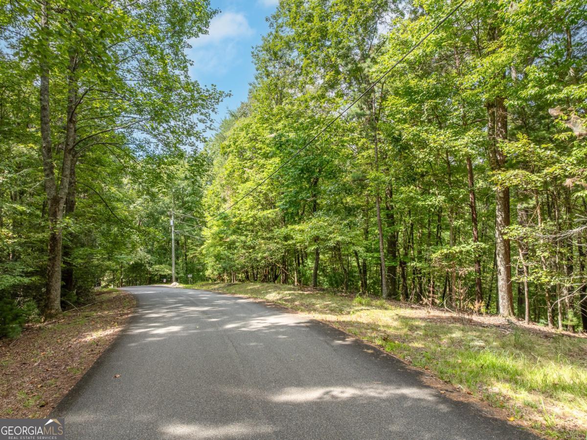 Lot 272 Seneca Drive Ellijay GA 30540