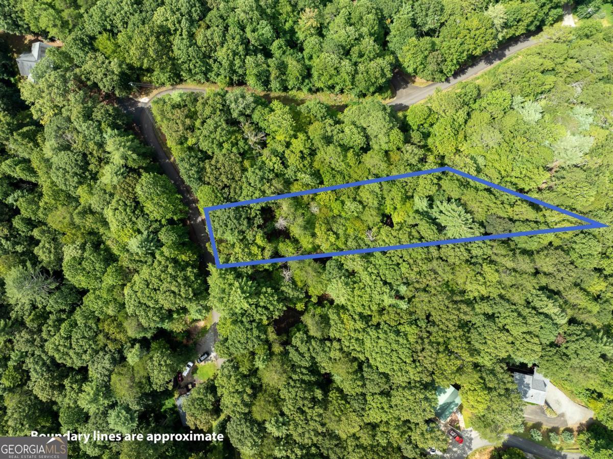 Lot 272 Seneca Drive Ellijay GA 30540