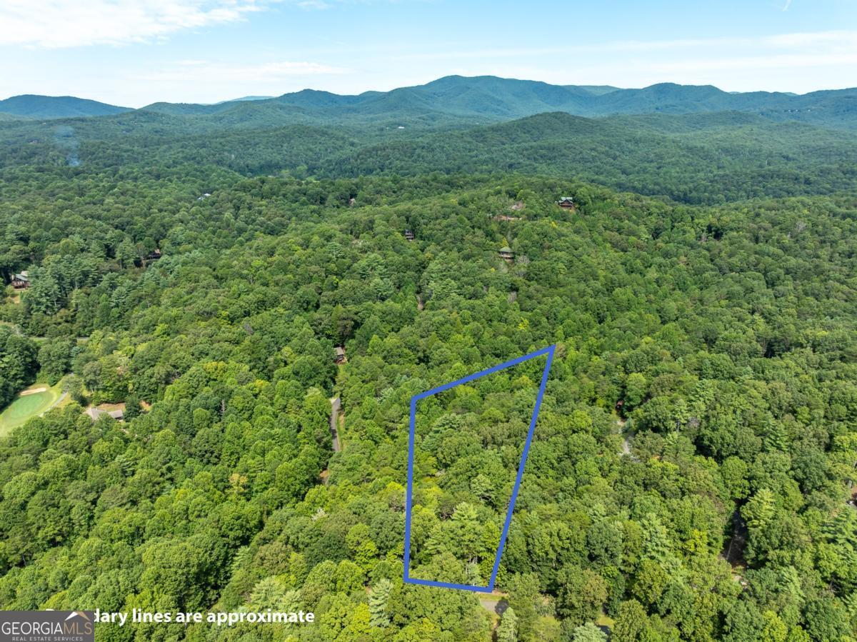 Lot 272 Seneca Drive Ellijay GA 30540