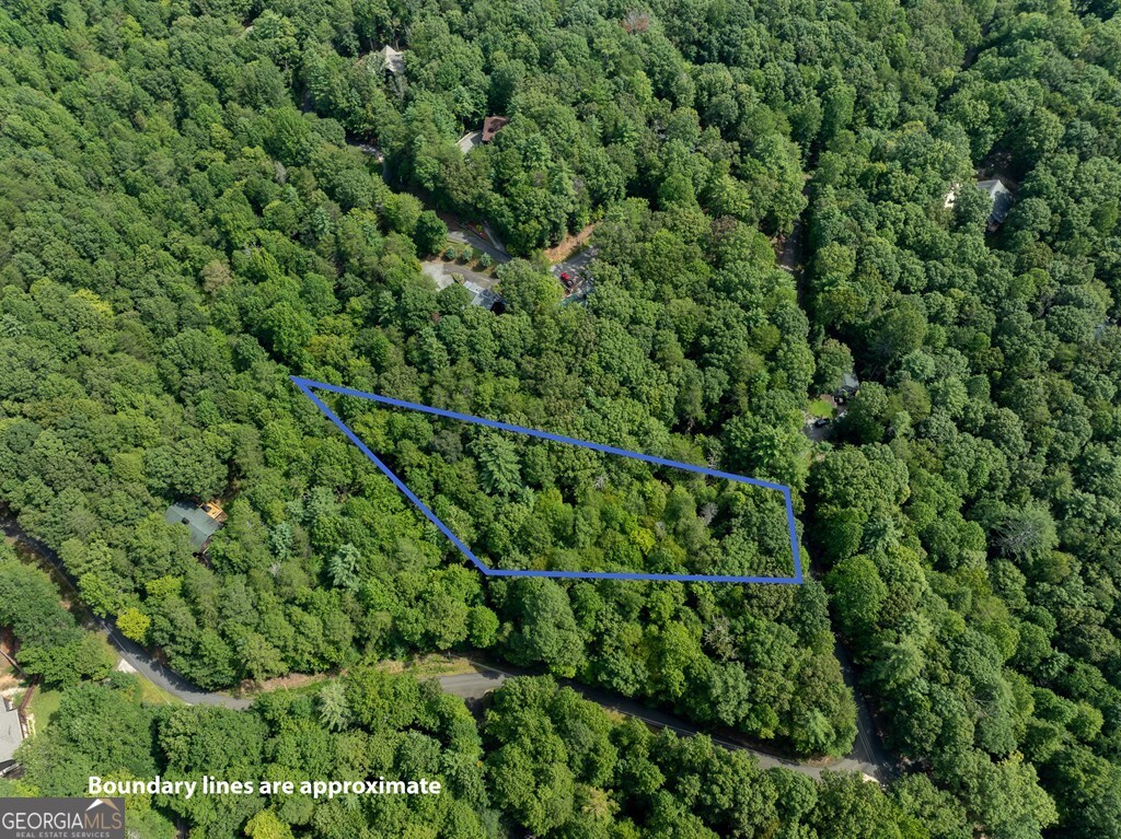 Lot 272 Seneca Drive Ellijay GA 30540