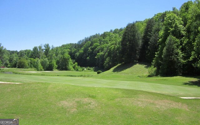 Lot 272 Seneca Drive Ellijay GA 30540