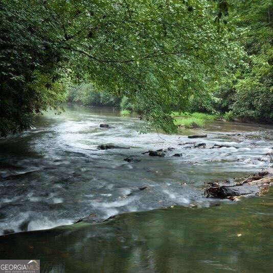 Lot 272 Seneca Drive Ellijay GA 30540