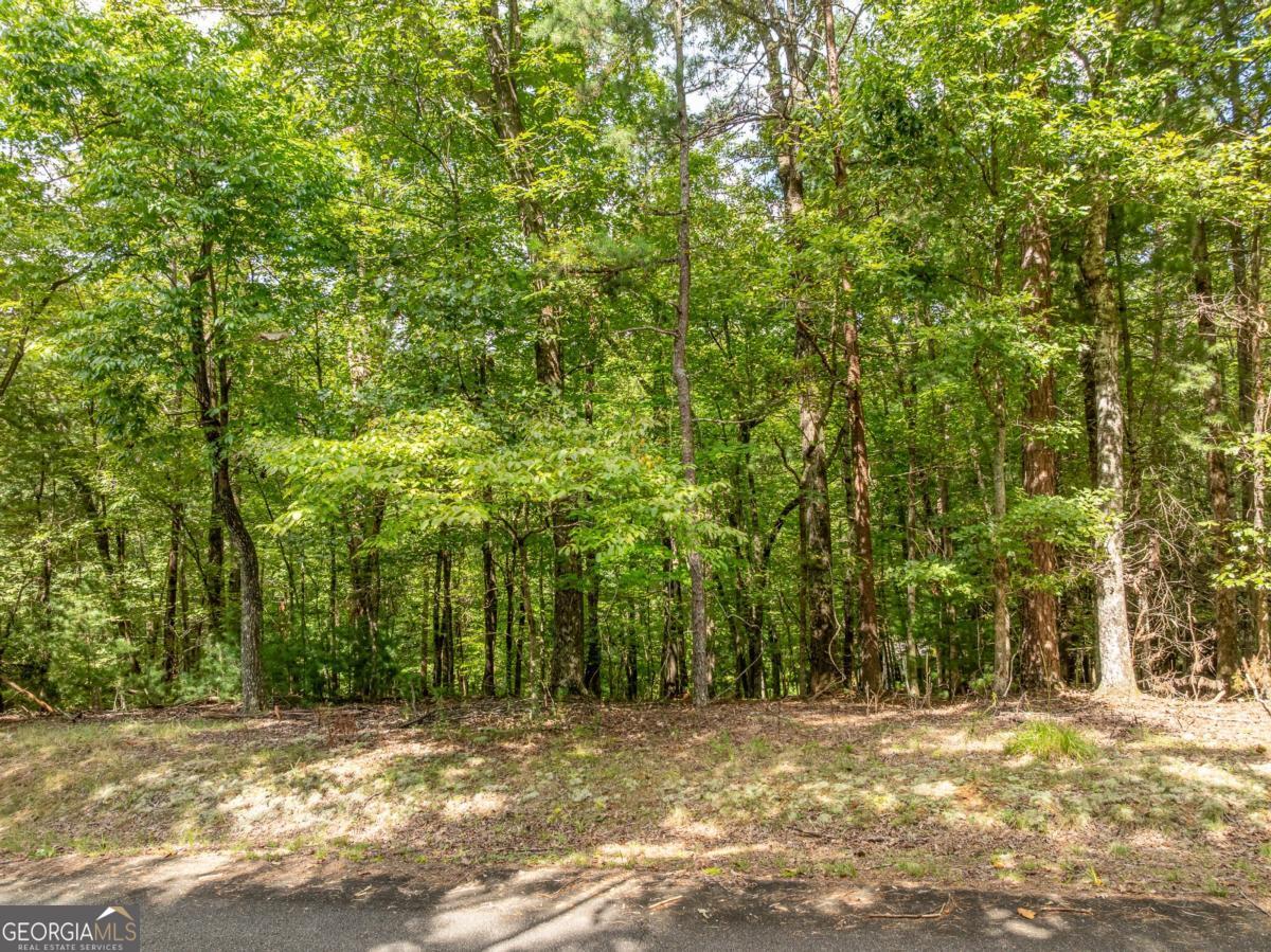 Lot 272 Seneca Drive Ellijay GA 30540