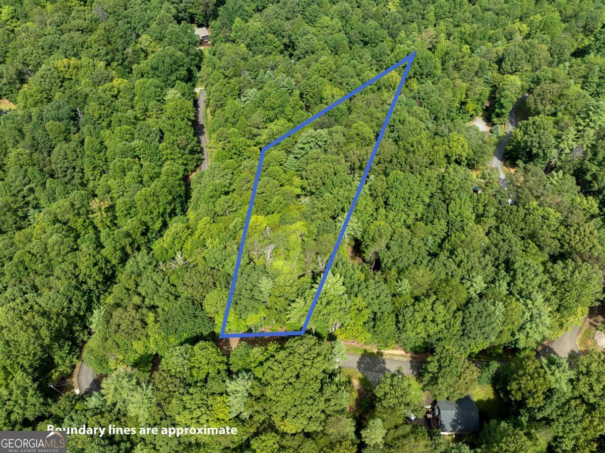 Lot 272 Seneca Drive Ellijay GA 30540