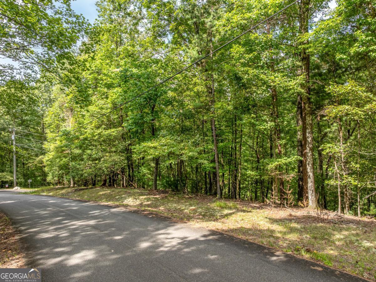 Lot 272 Seneca Drive Ellijay GA 30540