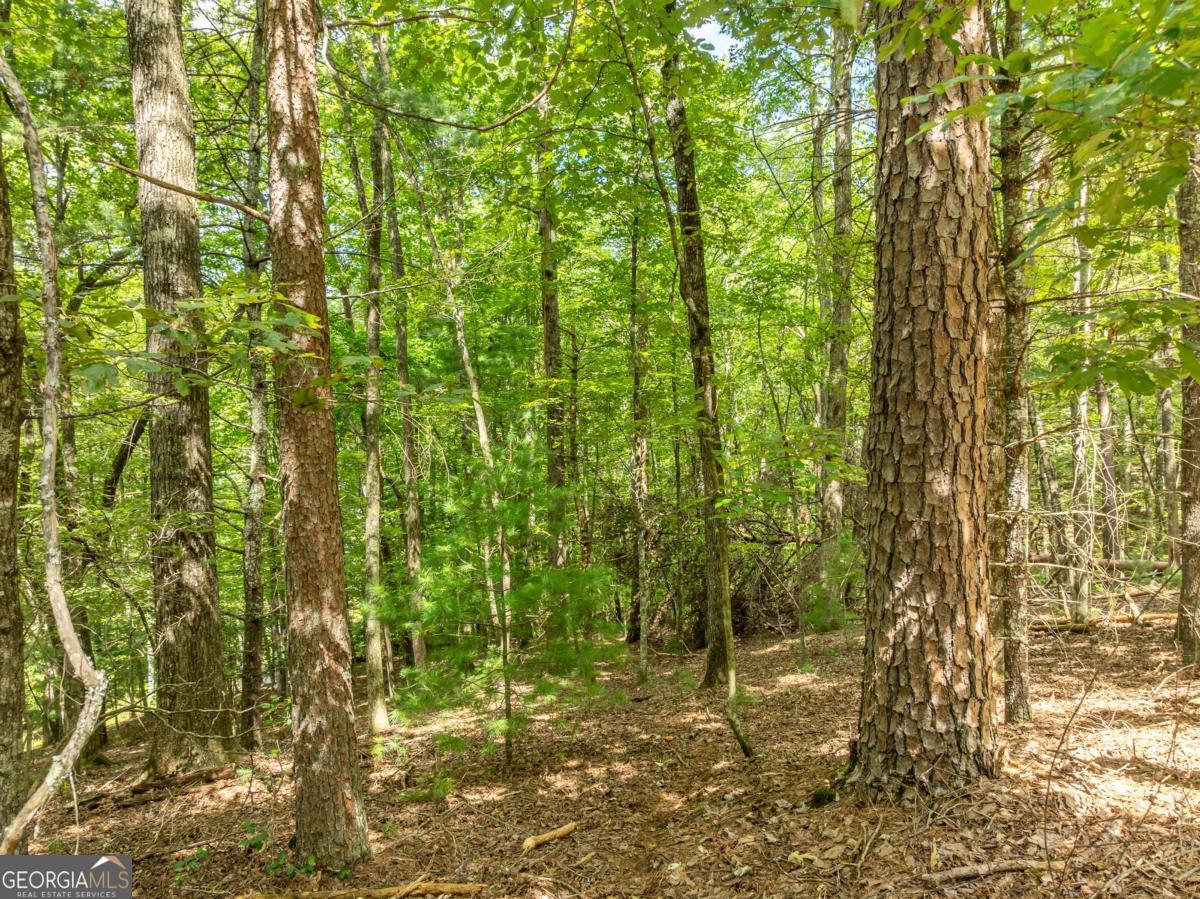 Lot 272 Seneca Drive Ellijay GA 30540