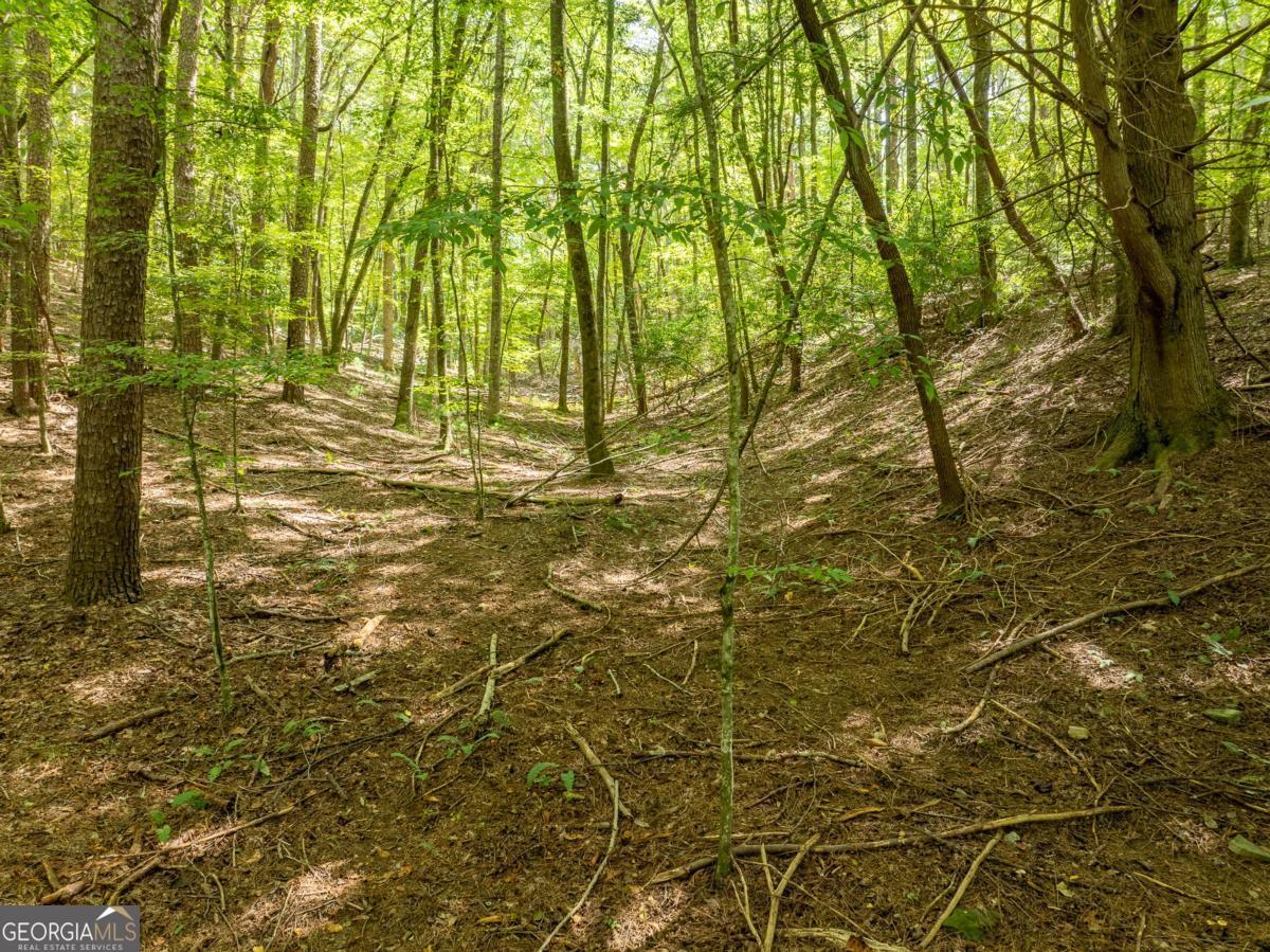 Lot 272 Seneca Drive Ellijay GA 30540