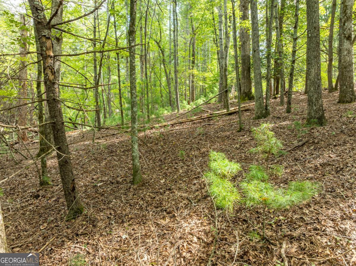 Lot 272 Seneca Drive Ellijay GA 30540