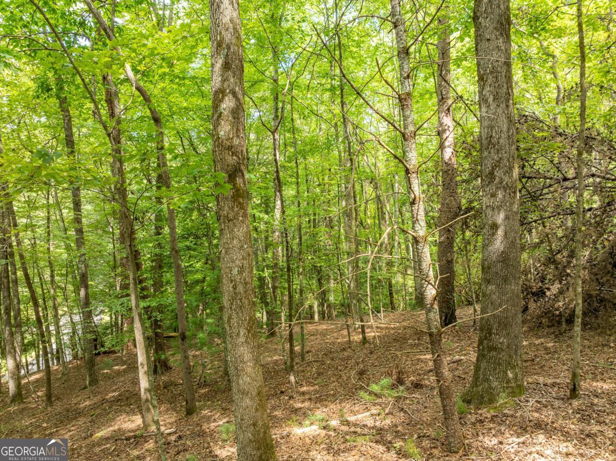 Lot 272 Seneca Drive Ellijay GA 30540