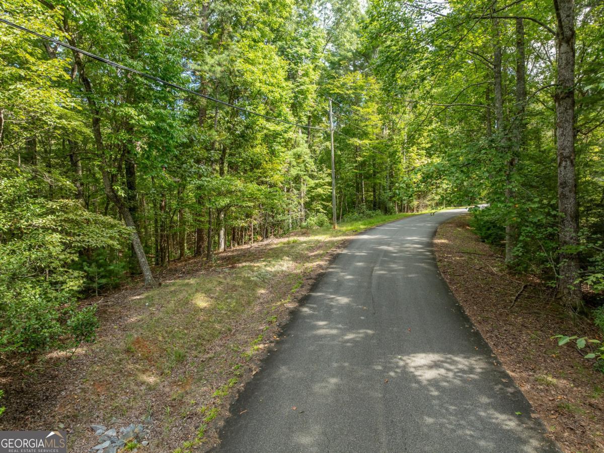 Lot 272 Seneca Drive Ellijay GA 30540