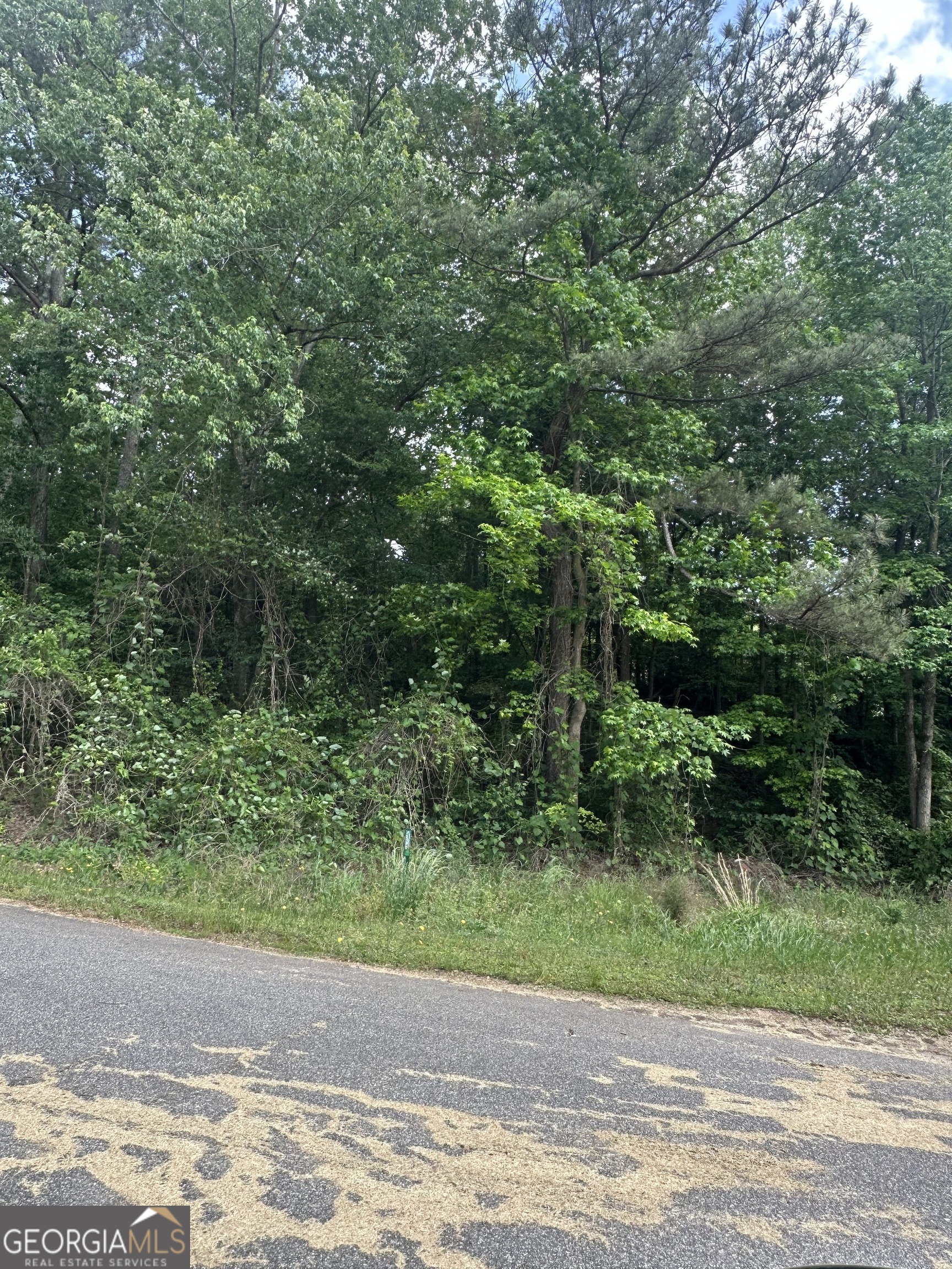 0 Ada Street Royston GA 30662