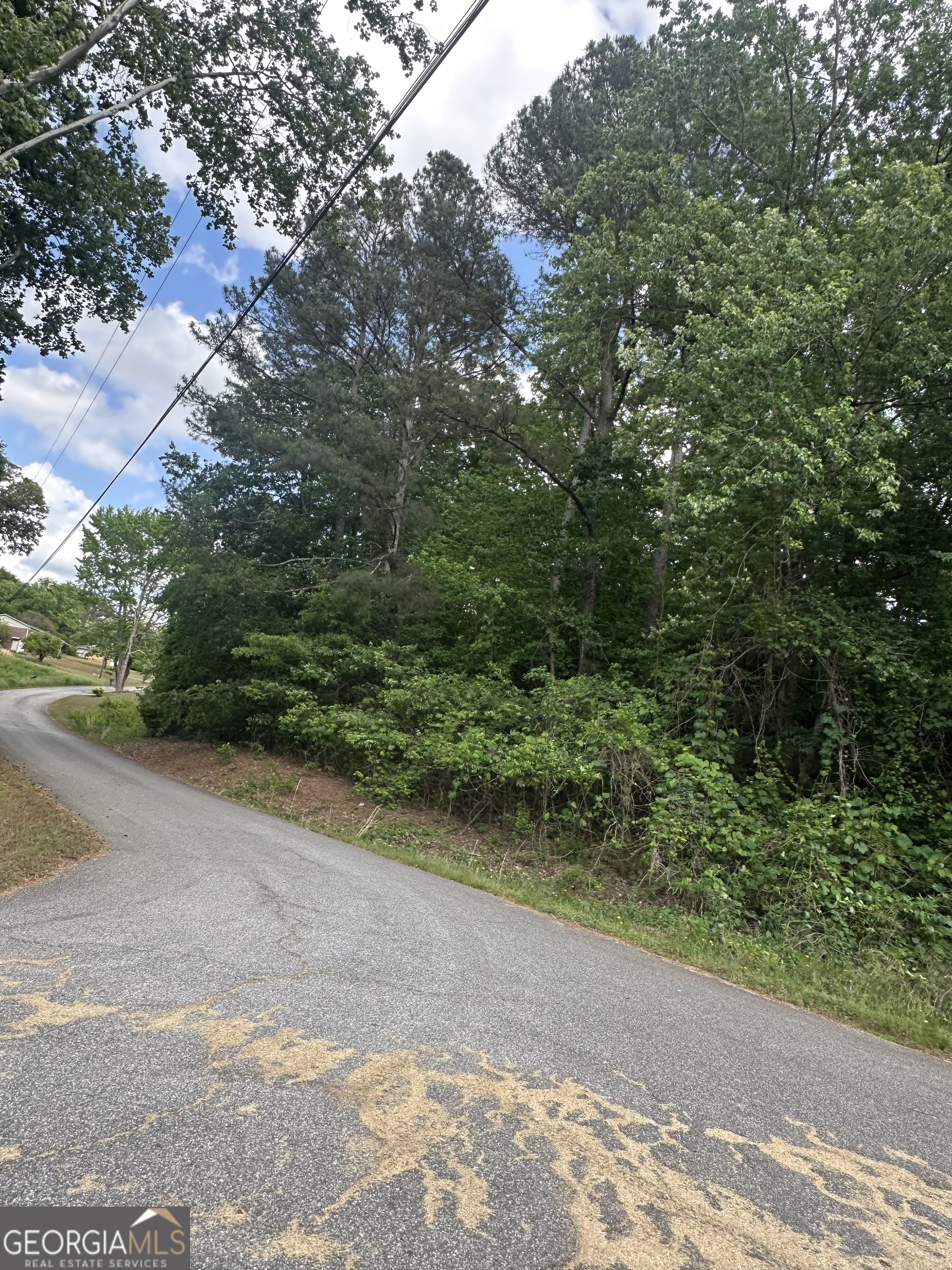0 Ada Street Royston GA 30662