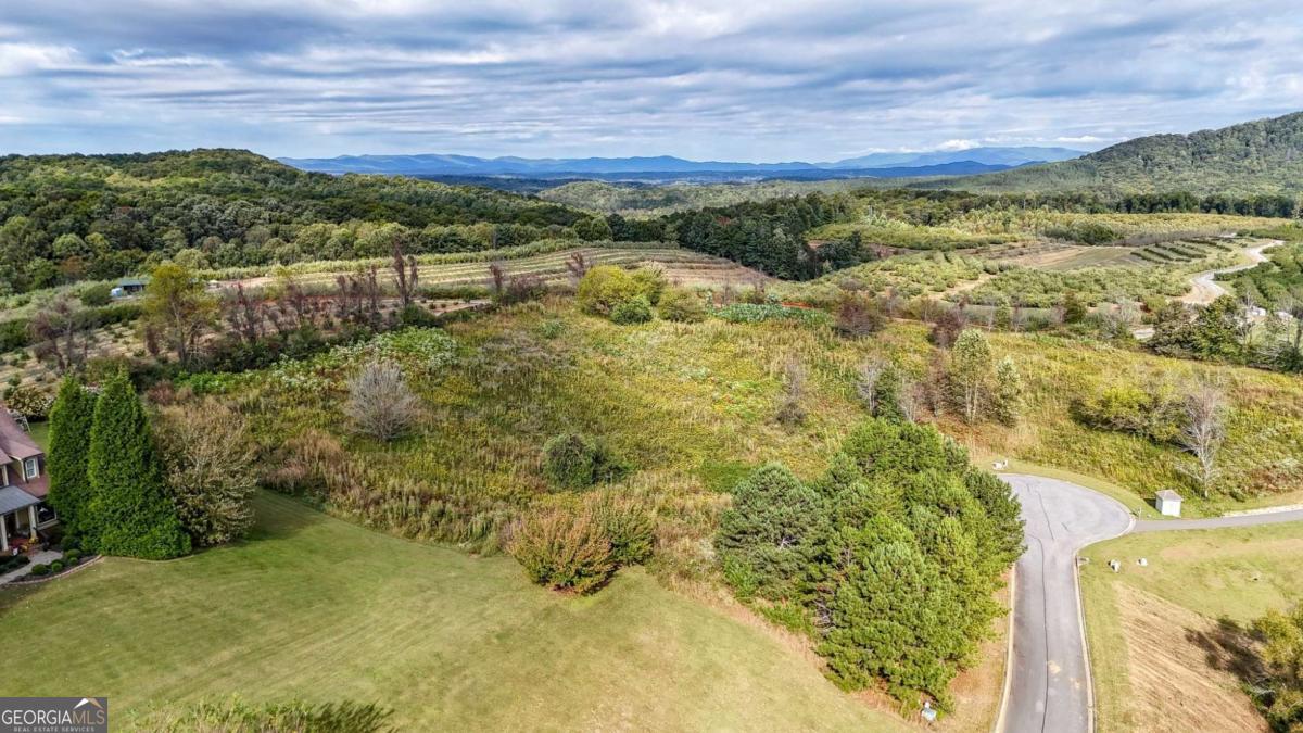 Lot 23 Ridgemont Lane Ellijay GA 30536