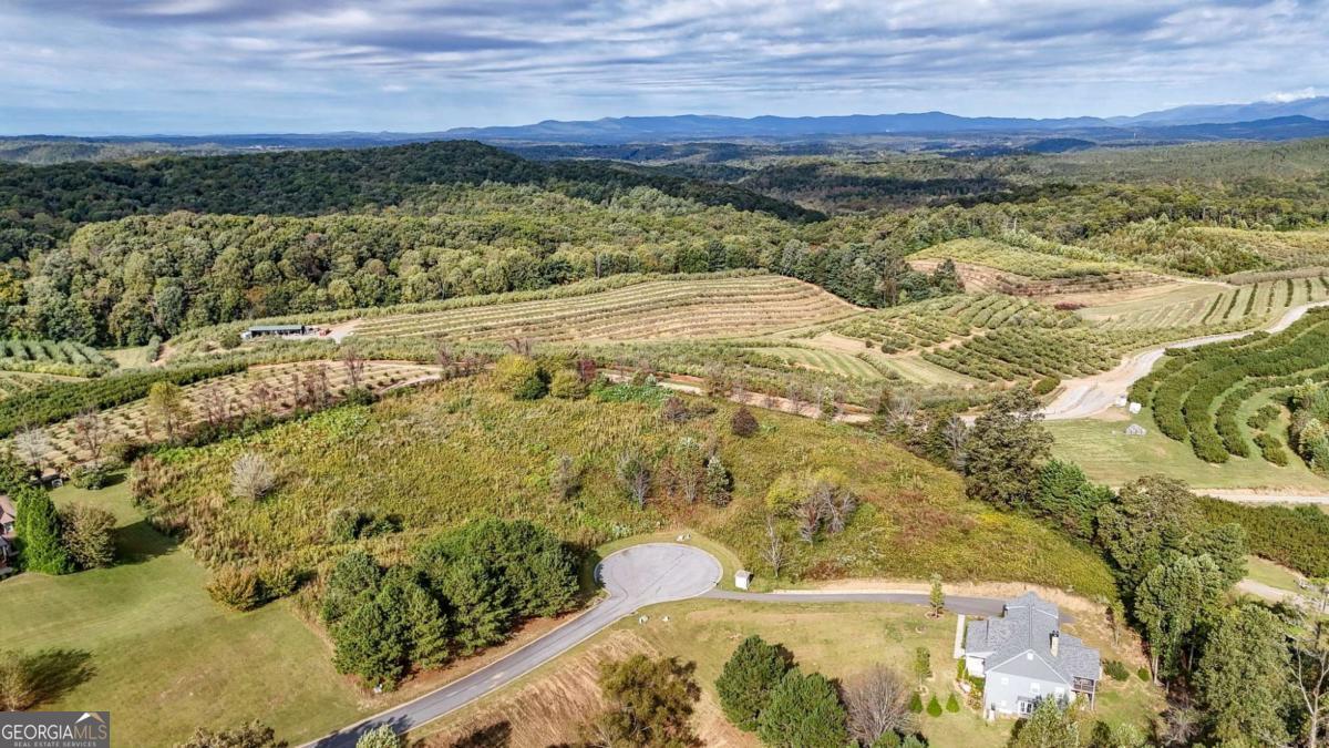Lot 23 Ridgemont Lane Ellijay GA 30536