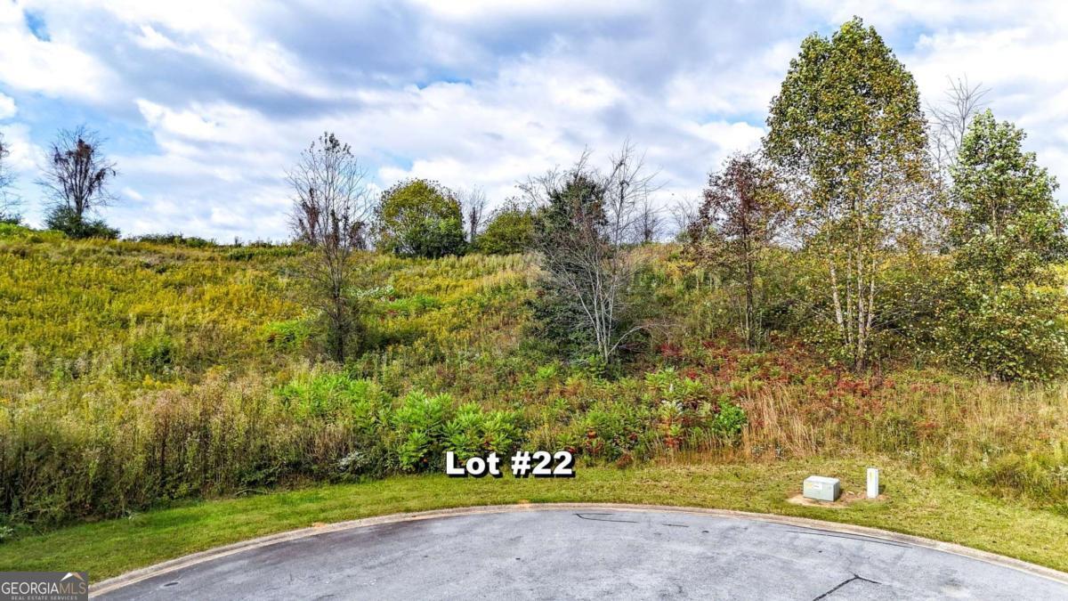 Lot 23 Ridgemont Lane Ellijay GA 30536