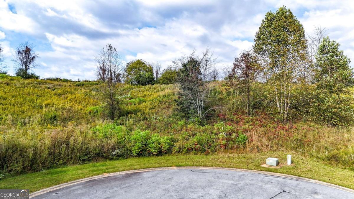 Lot 23 Ridgemont Lane Ellijay GA 30536