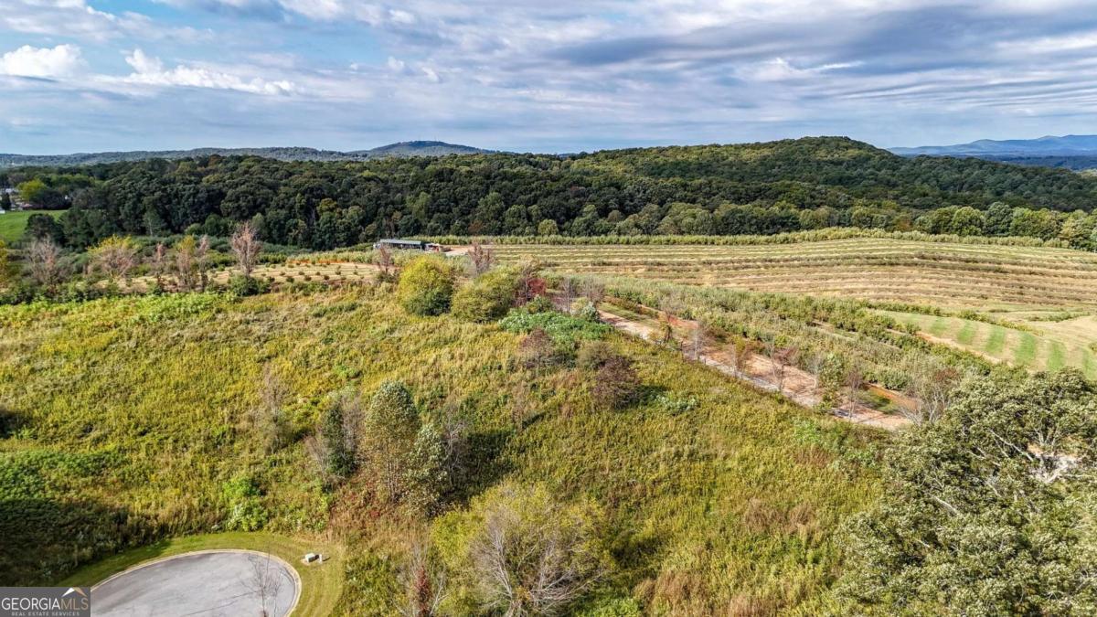 Lot 23 Ridgemont Lane Ellijay GA 30536