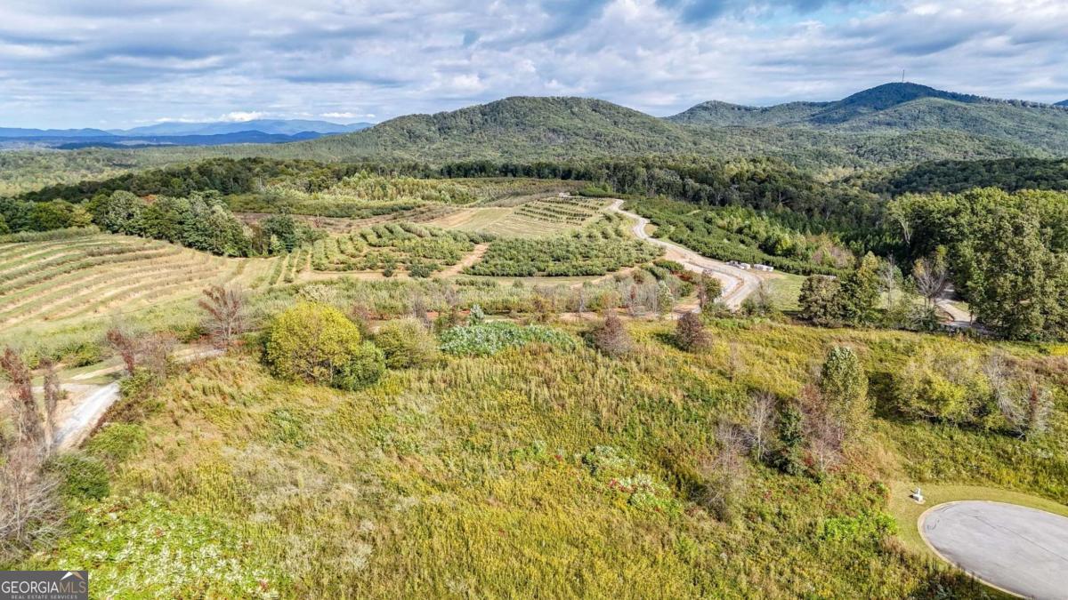 Lot 23 Ridgemont Lane Ellijay GA 30536