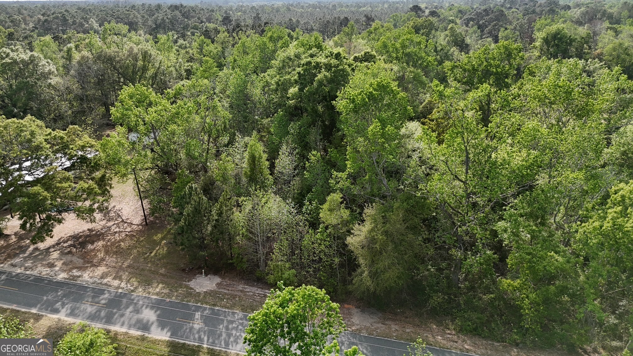 Tract 2 Spring Branch Road Baxley GA 31513