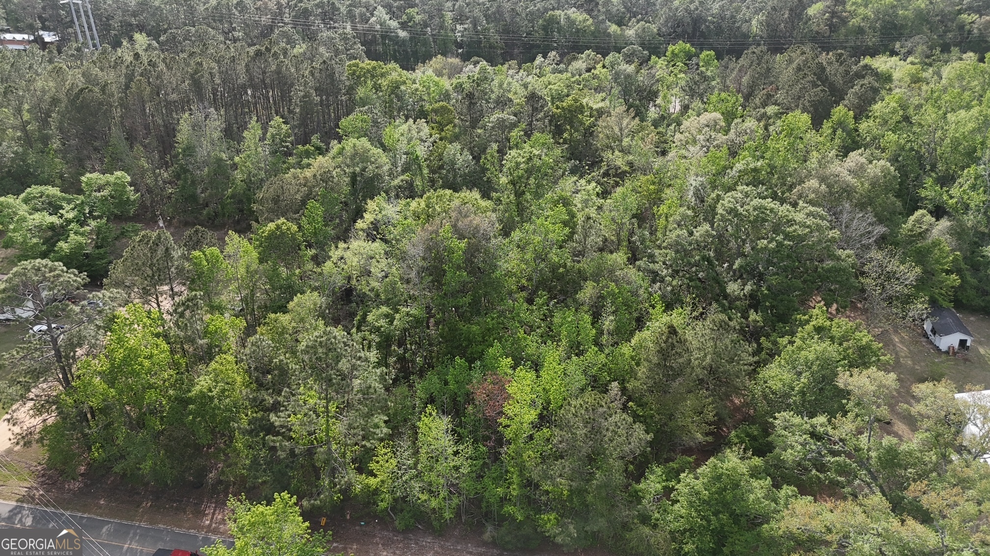 Tract 2 Spring Branch Road Baxley GA 31513