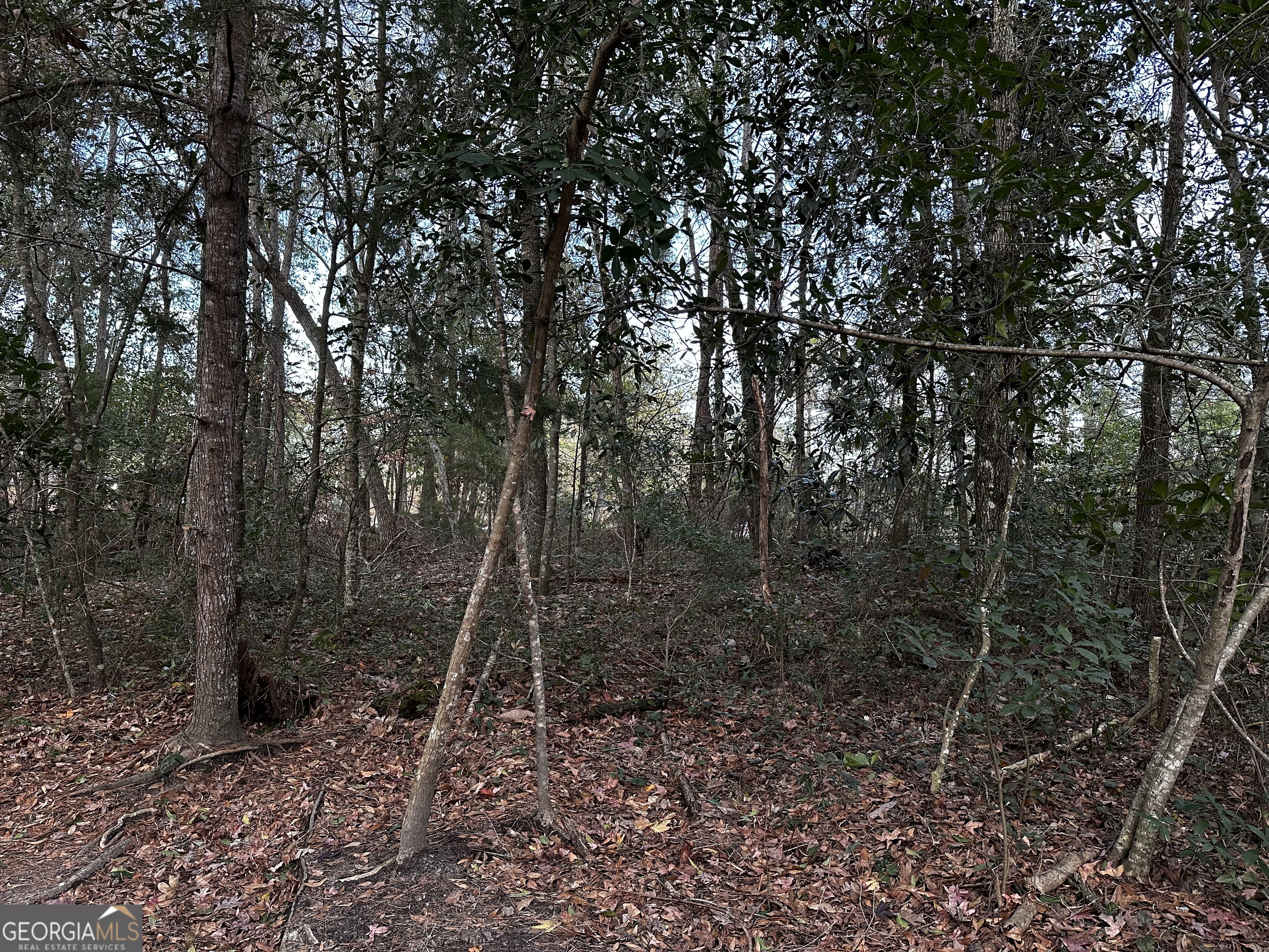 0 Marcia Avenue Thomasville GA 31792