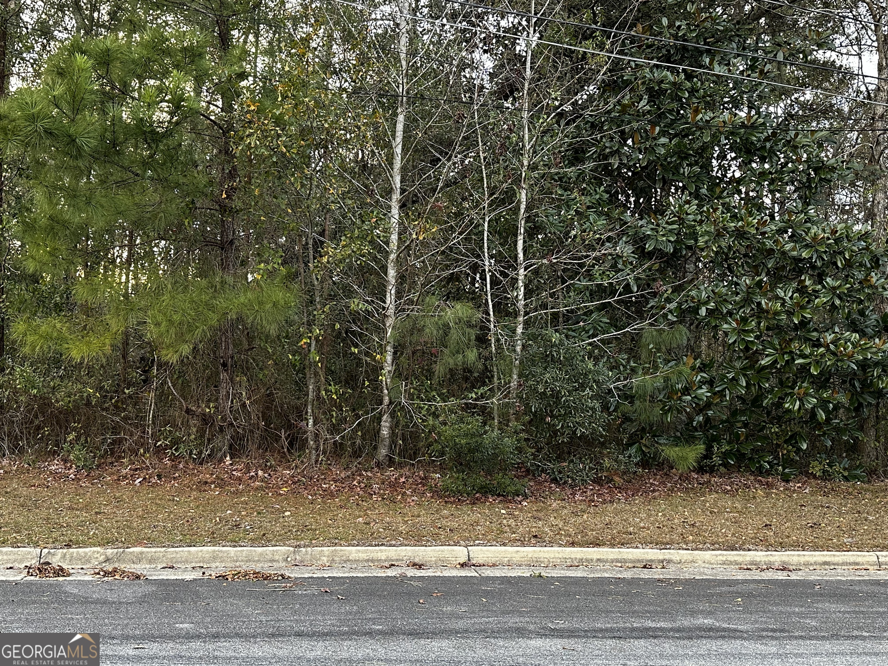 0 Marcia Avenue Thomasville GA 31792