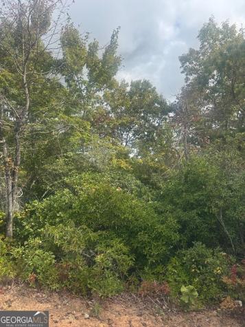 Lot 16 Brown Hawk Drive Clayton GA 30525