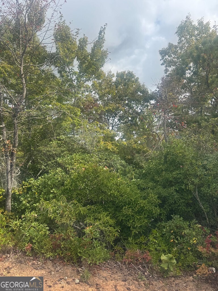 Lot 16 Brown Hawk Drive Clayton GA 30525