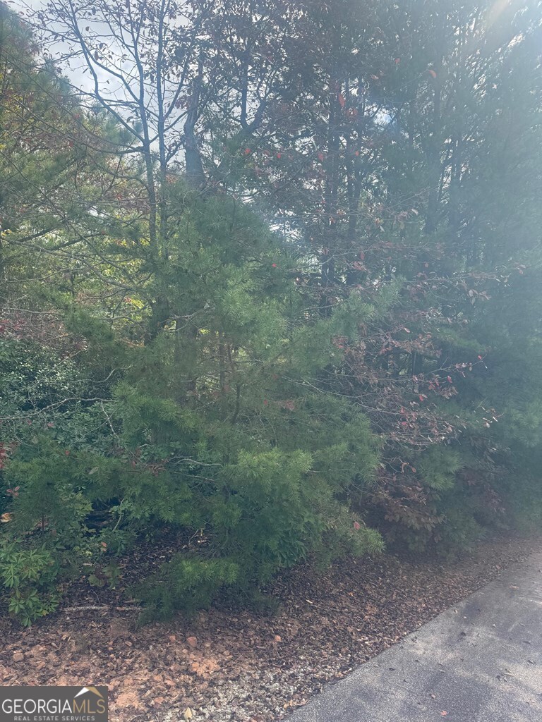 Lot 16 Brown Hawk Drive Clayton GA 30525