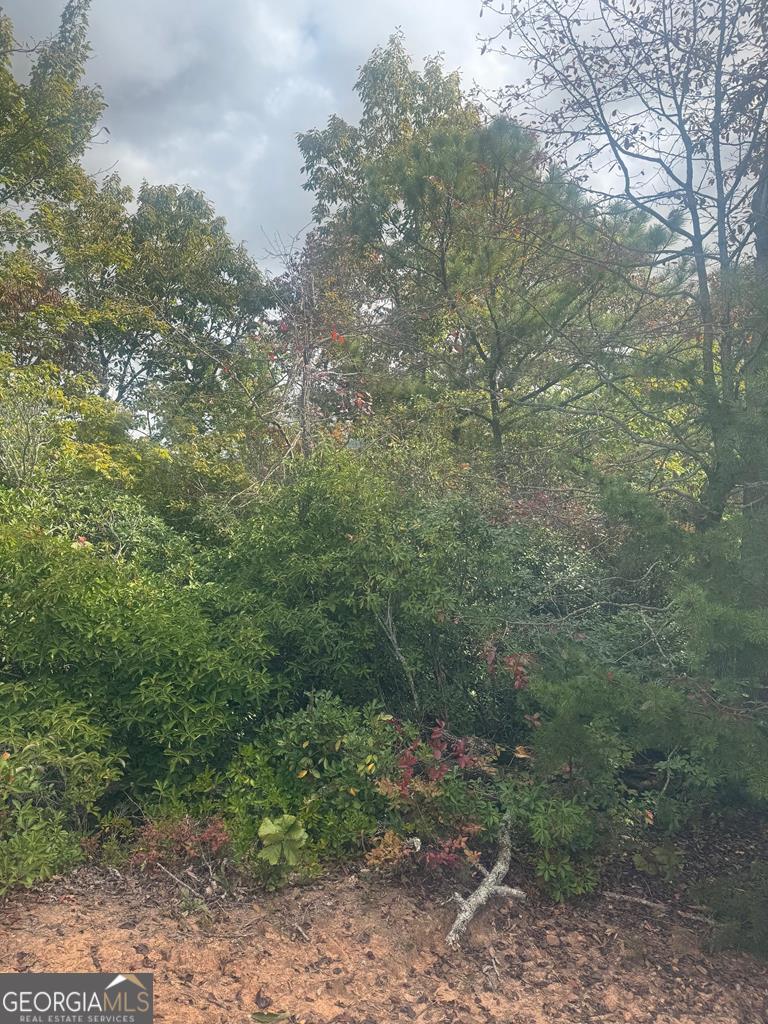 Lot 16 Brown Hawk Drive Clayton GA 30525