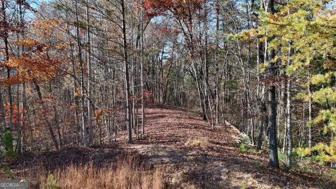 Lot 197 Springwinds Drive Cleveland GA 30528