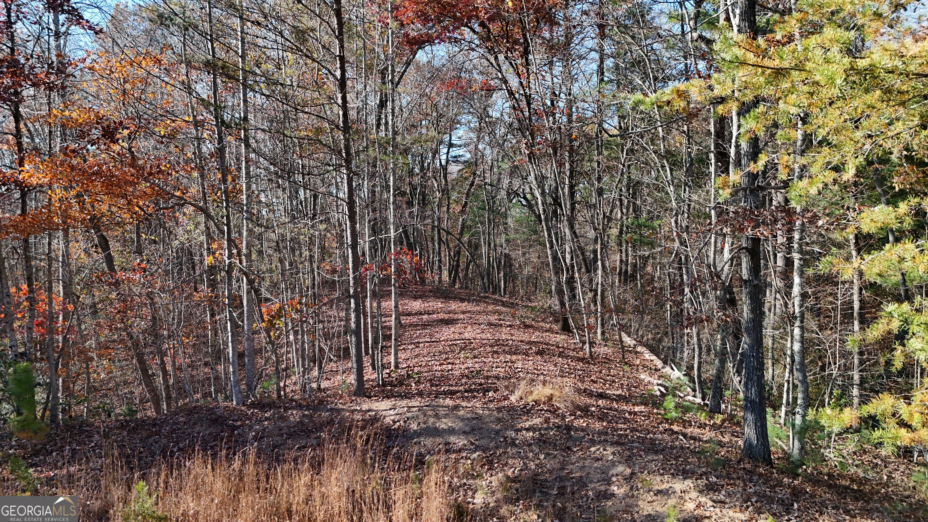 Lot 197 Springwinds Drive Cleveland GA 30528