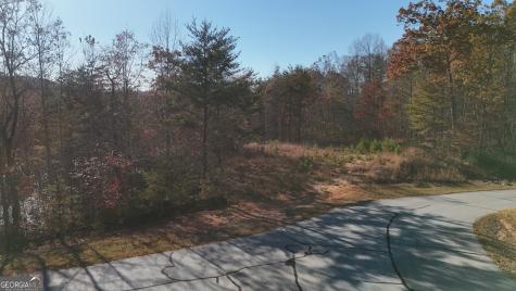 Lot 197 Springwinds Drive Cleveland GA 30528