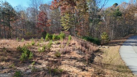 Lot 197 Springwinds Drive Cleveland GA 30528
