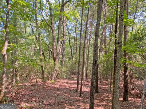10.59AC T S Jarrard Road Dahlonega GA 30533