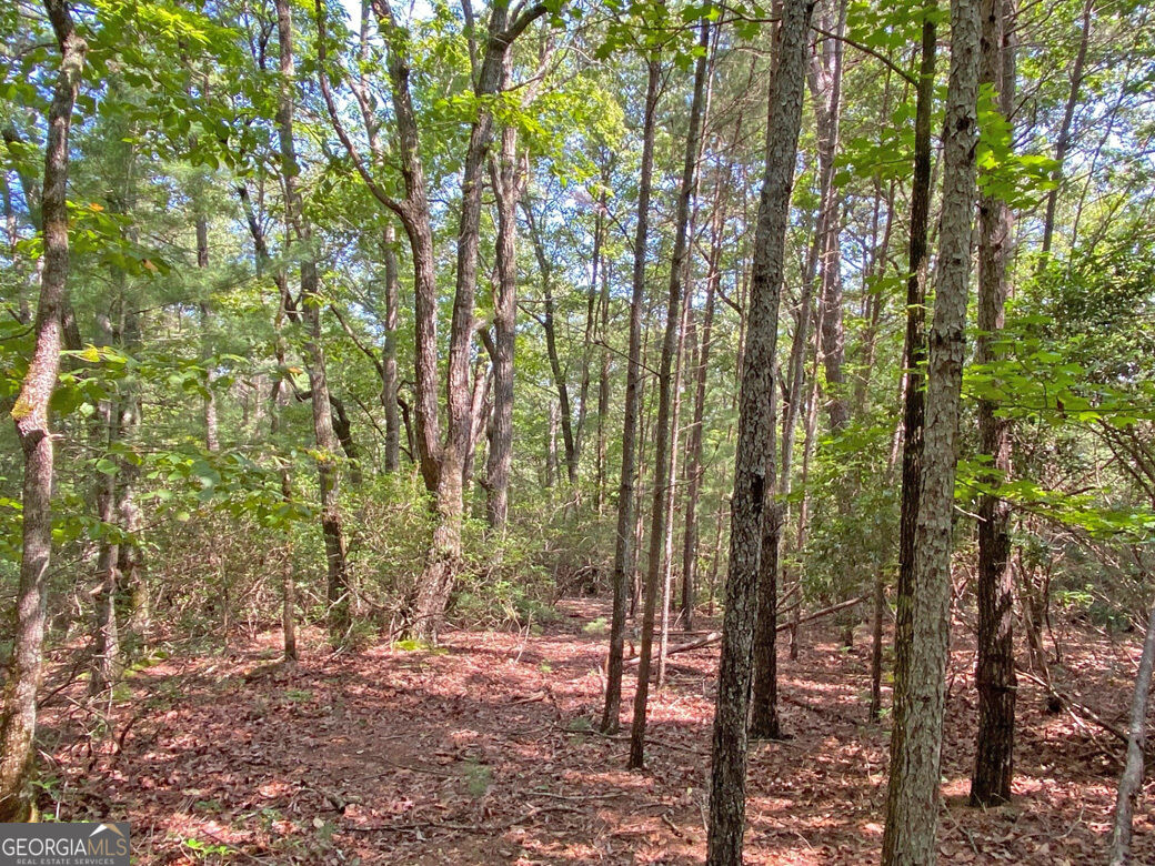 10.59AC T S Jarrard Road Dahlonega GA 30533