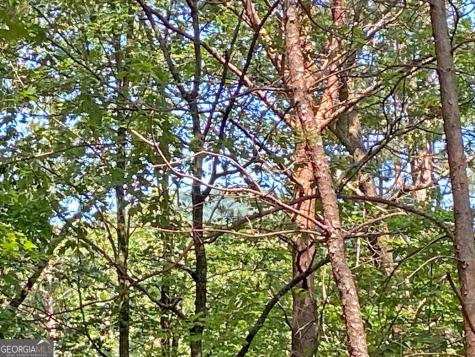 10.59AC T S Jarrard Road Dahlonega GA 30533