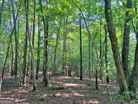 10.59AC T S Jarrard Road Dahlonega GA 30533