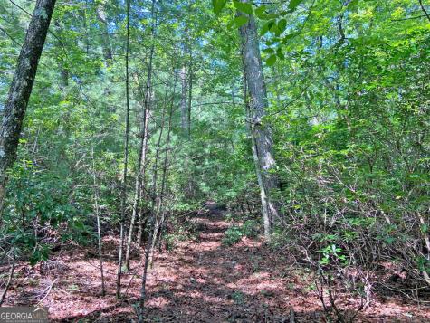 10.59AC T S Jarrard Road Dahlonega GA 30533