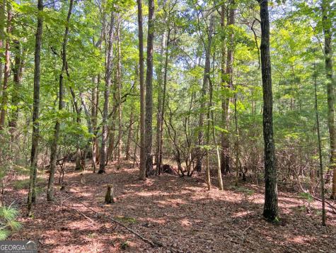 10.59AC T S Jarrard Road Dahlonega GA 30533