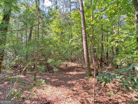 10.59AC T S Jarrard Road Dahlonega GA 30533