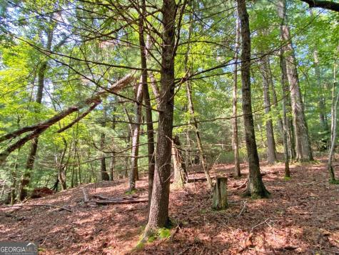 10.59AC T S Jarrard Road Dahlonega GA 30533